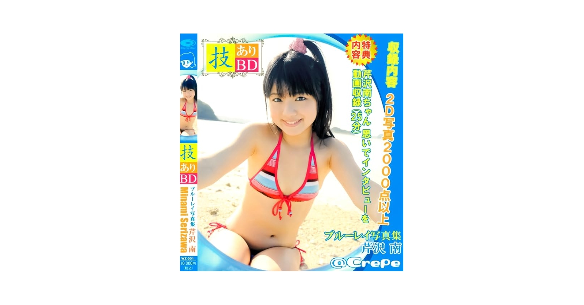 Blu-ray 芹沢南 5枚セット　ブルーレイ Blu-ray 芹沢南 5枚セット ブルーレイ